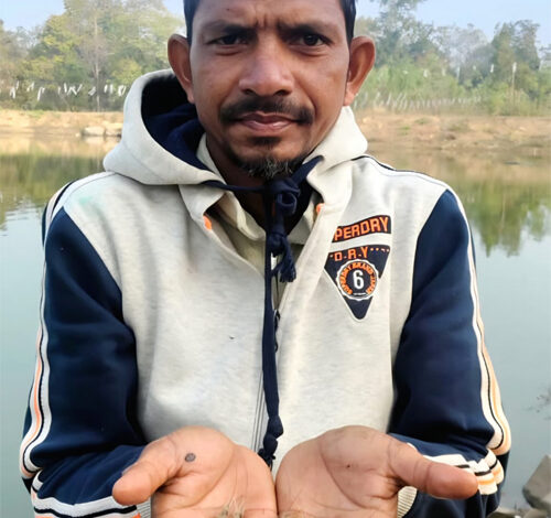 सरकारी योजना से बदली जिंदगी: मड़कम देवा ने झींगा पालन से लिखी सफलता की नई कहानी सरकारी योजना से बदली जिंदगी: मड़कम देवा ने झींगा पालन से लिखी सफलता की नई कहानी