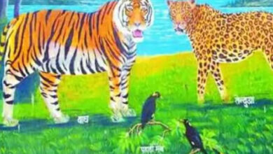 बाघ शिकार मामले में इंद्रावती टाइगर रिजर्व के 3 वनकर्मी निलंबित, जांच जारी