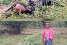 आकाशीय बिजली गिरने से 9 बकरियों की हुई मौत
