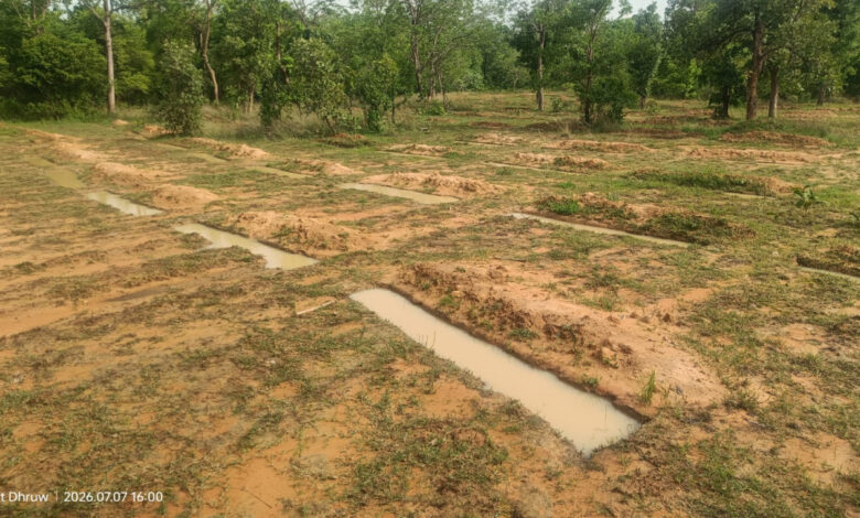 मानसून में तेज़ हुई वन संरक्षण गतिविधियाँ, जल संरक्षण से हरियाली और वन सुरक्षा को मिल रहा नया बल मानसून में तेज़ हुई वन संरक्षण गतिविधियाँ, जल संरक्षण से हरियाली और वन सुरक्षा को मिल रहा नया बल
