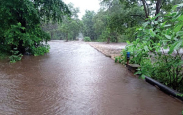 जल्लावागू नाला उफान पर दर्जनों गांवों का संपर्क जिला मुख्यालय से कटा