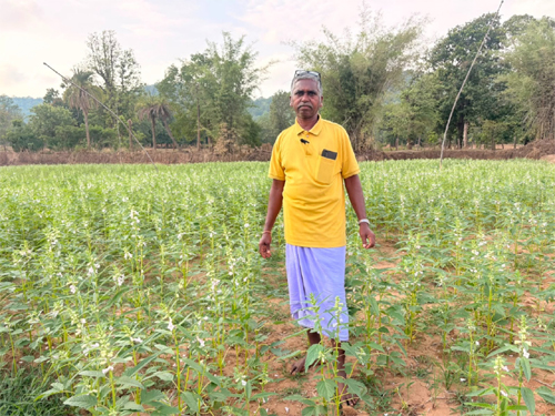 नौकरी के पीछे भागने के बजाय किसान सोनूराम ने खेती को बनाया फायदे का सौदा, 10 एकड़ में एकीकृत जैविक खेती से कमा रहे सालाना 8 लाख से अधिक