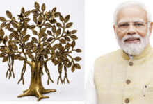 विश्व मंच पर छत्तीसगढ़ की सांस्कृतिक छाप: प्रधानमंत्री मोदी ने न्यूजीलैंड के प्रधानमंत्री को भेंट की बस्तर की ढोकरा ट्री ऑफ लाइफ शिल्पकृति
