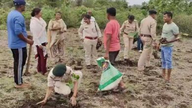 वन भूमि से तीसरी बार अवैध कब्जा हटाकर, किया गया पौधरोपण
