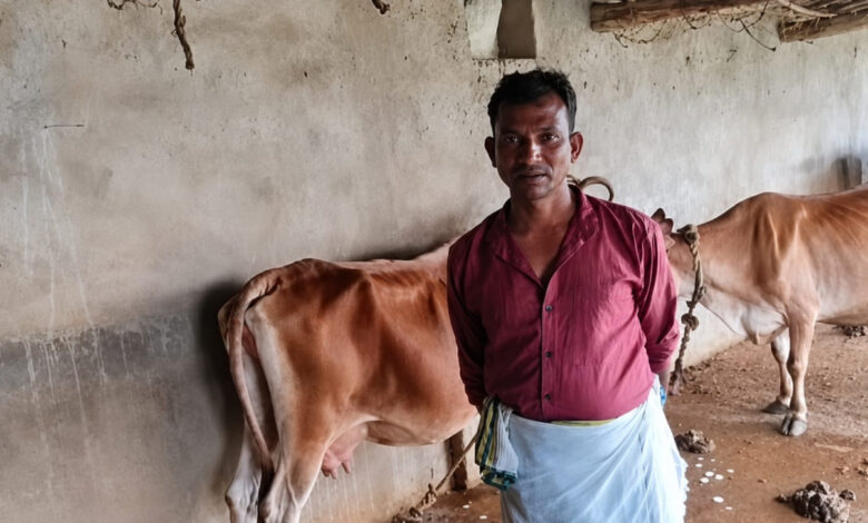पशुपालन विभाग की पहल से पशुपालक हीरालाल ने बढ़ाया दुग्ध उत्पादन, आत्मनिर्भरता की ओर बढ़े कदम