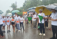 बारिश भी नहीं रोक सकी बाघ संरक्षण की मुहिम, इंद्रावती टाइगर रिजर्व में उमड़ा जनसैलाब