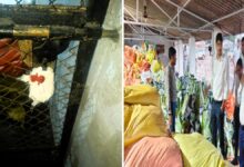 बिना अनुमति कृषि सामग्री की पैकिंग, गोदाम सील कर विभाग ने की कार्रवाई