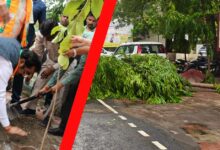 पर्यावरण बचाने के भाषण के बीच पेड़ कटने का वीडियो वायरल, मचा हड़कंप