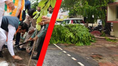 पर्यावरण बचाने के भाषण के बीच पेड़ कटने का वीडियो वायरल, मचा हड़कंप