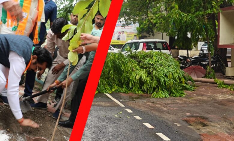 पर्यावरण बचाने के भाषण के बीच पेड़ कटने का वीडियो वायरल, मचा हड़कंप पर्यावरण बचाने के भाषण के बीच पेड़ कटने का वीडियो वायरल, मचा हड़कंप