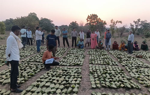 साय सरकार के सुशासन में तेन्दूपत्ता संग्राहकों को मिली आर्थिक मजबूती, 10,160 हितग्राहियों के खातों में पहुँची 1.39 करोड़ से अधिक की बोनस राशि साय सरकार के सुशासन में तेन्दूपत्ता संग्राहकों को मिली आर्थिक मजबूती, 10,160 हितग्राहियों के खातों में पहुँची 1.39 करोड़ से अधिक की बोनस राशि