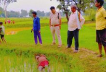 धान की सिंचाई के दौरान करंट लगने से किसान की मौत, खेत में मिला शव; अवैध बिजली हुकिंग की आशंका धान की सिंचाई के दौरान करंट लगने से किसान की मौत, खेत में मिला शव; अवैध बिजली हुकिंग की आशंका