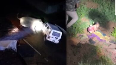 हाथी के हमले में महिला की मौत, धरमजयगढ़ क्षेत्र में मानव-वन्यजीव संघर्ष बढ़ा