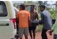 खेत की घेराबंदी बनी काल, करंट की चपेट में आकर मां-बेटों ने गंवाई जान