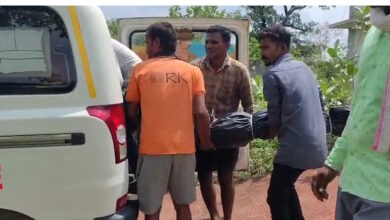 खेत की घेराबंदी बनी काल, करंट की चपेट में आकर मां-बेटों ने गंवाई जान खेत की घेराबंदी बनी काल, करंट की चपेट में आकर मां-बेटों ने गंवाई जान