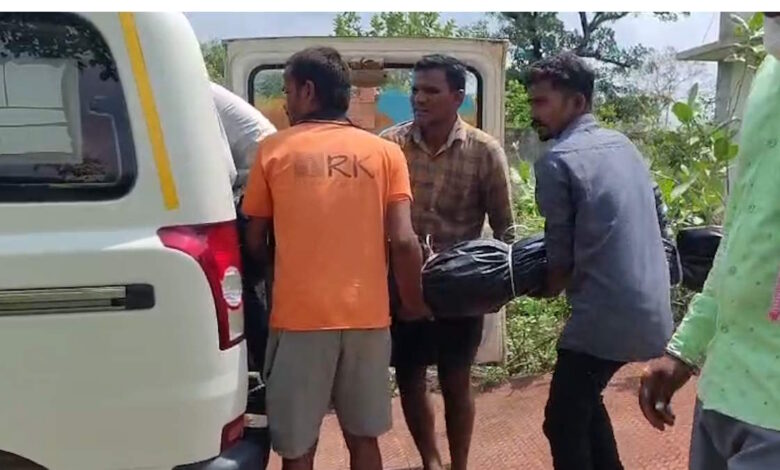 खेत की घेराबंदी बनी काल, करंट की चपेट में आकर मां-बेटों ने गंवाई जान खेत की घेराबंदी बनी काल, करंट की चपेट में आकर मां-बेटों ने गंवाई जान
