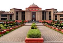 जन सुरक्षा को लेकर हाईकोर्ट चिंतित, आवारा पशुओं के प्रबंधन पर दिए निर्देश