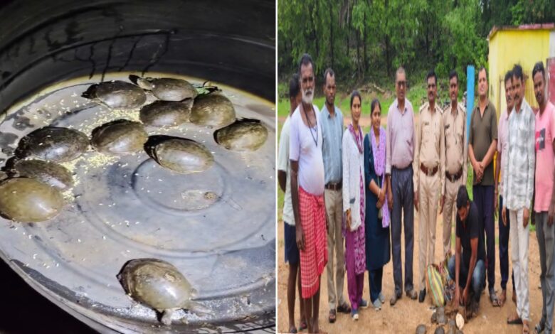 पखांजूर में वन विभाग की कार्रवाई, कछुओं की अवैध बिक्री करते तस्कर पकड़ा गया