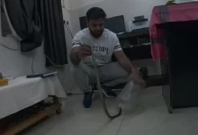 मेडिकल अस्पताल की OPD में घुसा कोबरा, डॉक्टर की टेबल के नीचे फन फैलाए मिला सांप