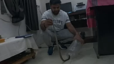 मेडिकल अस्पताल की OPD में घुसा कोबरा, डॉक्टर की टेबल के नीचे फन फैलाए मिला सांप मेडिकल अस्पताल की OPD में घुसा कोबरा, डॉक्टर की टेबल के नीचे फन फैलाए मिला सांप