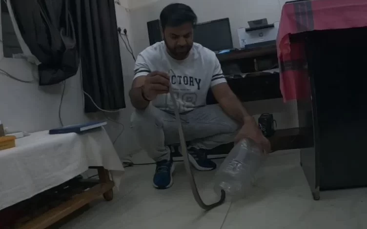मेडिकल अस्पताल की OPD में घुसा कोबरा, डॉक्टर की टेबल के नीचे फन फैलाए मिला सांप मेडिकल अस्पताल की OPD में घुसा कोबरा, डॉक्टर की टेबल के नीचे फन फैलाए मिला सांप