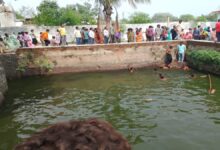 प्राचीन बावड़ी में डूबने से दो मासूम बच्चों की मौत, कुंबरगढ़ में पसरा मातम