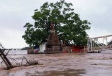 वर्षों बाद डूबा कुलेश्वर महादेव मंदिर, गरियाबंद-रायपुर मार्ग ठप
