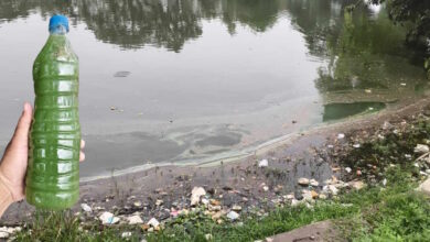 आरंग के दमऊवा तालाब में संदिग्ध प्रदूषण से बढ़ी चिंता, जांच के लिए भेजे गए पानी के सैंपल