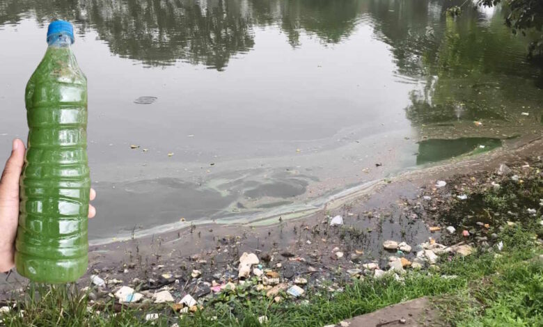 आरंग के दमऊवा तालाब में संदिग्ध प्रदूषण से बढ़ी चिंता, जांच के लिए भेजे गए पानी के सैंपल