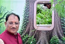 आज लगाया गया हर पौधा आने वाली पीढ़ियों के सुरक्षित भविष्य का आधार बनेगा : मुख्यमंत्री साय