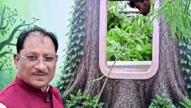 आज लगाया गया हर पौधा आने वाली पीढ़ियों के सुरक्षित भविष्य का आधार बनेगा : मुख्यमंत्री साय आज लगाया गया हर पौधा आने वाली पीढ़ियों के सुरक्षित भविष्य का आधार बनेगा : मुख्यमंत्री साय