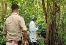 महामाया पहाड़ के जंगल में महिला का कंकाल मिला
