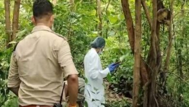 महामाया पहाड़ के जंगल में महिला का कंकाल मिला