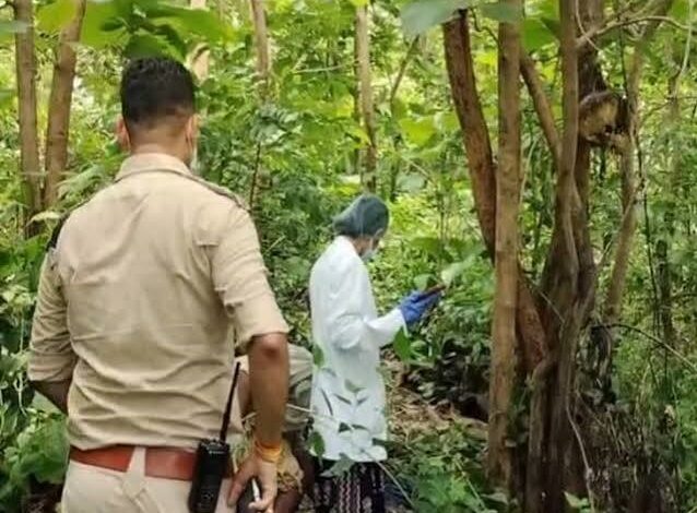 महामाया पहाड़ के जंगल में महिला का कंकाल मिला