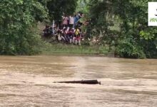 नाले में बिजली विभाग की पिकअप बही, 3 कर्मियों ने तैरकर बचाई जान, एक लापता