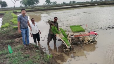 किसान अब उन्नत तकनीक की ओर अग्रसर, पैडी ट्रांसप्लांटर विधि से धान रोपाई किसान अब उन्नत तकनीक की ओर अग्रसर, पैडी ट्रांसप्लांटर विधि से धान रोपाई