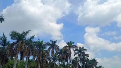 अगले 48 घंटे राज्य के उत्तर और मध्य क्षेत्र में हो सकती है अच्छी बारिश