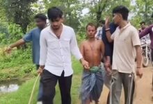 नर्मदा गांव में गौहत्या पर बवाल एक गिरफ्तार, पुलिस बल तैनात नर्मदा गांव में गौहत्या पर बवाल एक गिरफ्तार, पुलिस बल तैनात