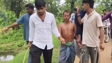 नर्मदा गांव में गौहत्या पर बवाल एक गिरफ्तार, पुलिस बल तैनात