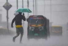 राज्य में मानसून ने पकड़ी रफ़्तार, बिलासपुर में 28 सेंटीमीटर बारिश