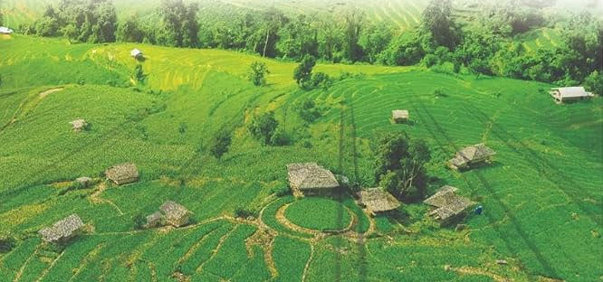 छत्तीसगढ़ भू-राजस्व संहिता में सुधार: सुशासन, डिजिटलीकरण और जन-राहत का नया सवेरा