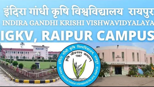 कृषि विवि में रिक्त सीटों पर प्रवेश के लिए द्वितीय चरण की ऑनलाइन काउंसिलिंग प्रारंभ