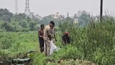 डब्ल्यूआरएस कॉलोनी में मिला अज्ञात युवती का शव, हत्या की आशंका 