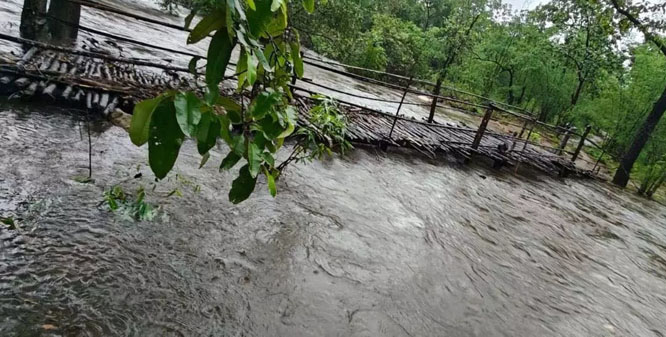 अबूझमाड़ के 14 गांवों में आईटीबीपी ने लकड़ी के अस्थायी फुट ब्रिज बनाकर दी राहत अबूझमाड़ के 14 गांवों में आईटीबीपी ने लकड़ी के अस्थायी फुट ब्रिज बनाकर दी राहत