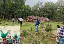 मलेरिया के खिलाफ जंगलों में उतरा स्वास्थ्य महकमा, संवेदनशील इलाकों की परखी तैयारियां