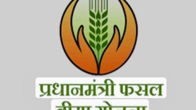 फसल बीमा की तिथि में हुई वृद्धि, अब 14 अगस्त तक करा सकेंगे बीमा फसल बीमा की तिथि में हुई वृद्धि, अब 14 अगस्त तक करा सकेंगे बीमा