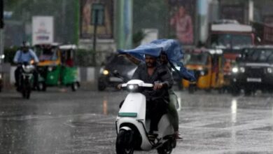राज्य में मानसून मेहरबान : अधिकांश जिलों में सामान्य से अधिक वर्षा, नारायणपुर, महासमुंद और सारंगढ़-बिलाईगढ़ सबसे आगे राज्य में मानसून मेहरबान : अधिकांश जिलों में सामान्य से अधिक वर्षा, नारायणपुर, महासमुंद और सारंगढ़-बिलाईगढ़ सबसे आगे