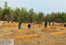 मनरेगा से बदली निम्मलगुड़ा की तस्वीर, 500 जल अवशोषण ट्रेंच से बढ़ा भू-जल स्तर, 1,801 मानव-दिवस का मिला रोजगार