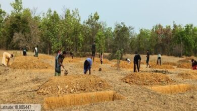 मनरेगा से बदली निम्मलगुड़ा की तस्वीर, 500 जल अवशोषण ट्रेंच से बढ़ा भू-जल स्तर, 1,801 मानव-दिवस का मिला रोजगार