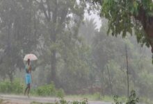 मौसम विभाग ने बस्तर संभााग के साताें जिलाें के लिए जारी किया येलो अलर्ट